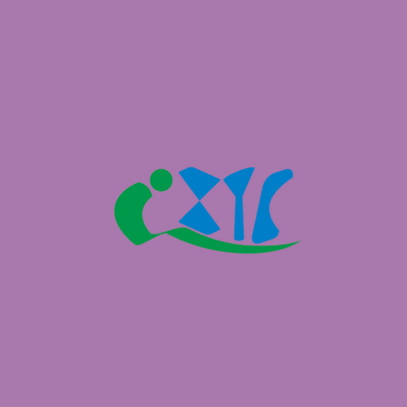 上海國際智慧公交技術(shù)裝備展覽會(huì )-交通展會(huì )介紹