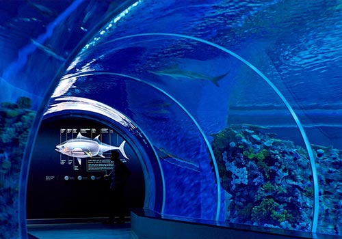 丹麥海洋館設(shè)計與展廳平面圖